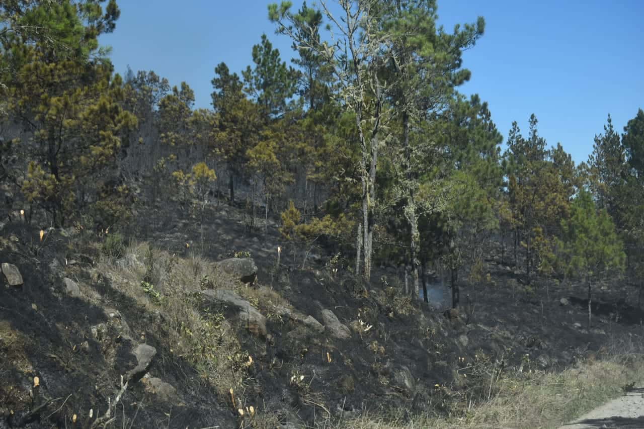 Parte de la zona afectada por el fuego, las autoridades indicaron que el fuego fue originado por un agricultor.