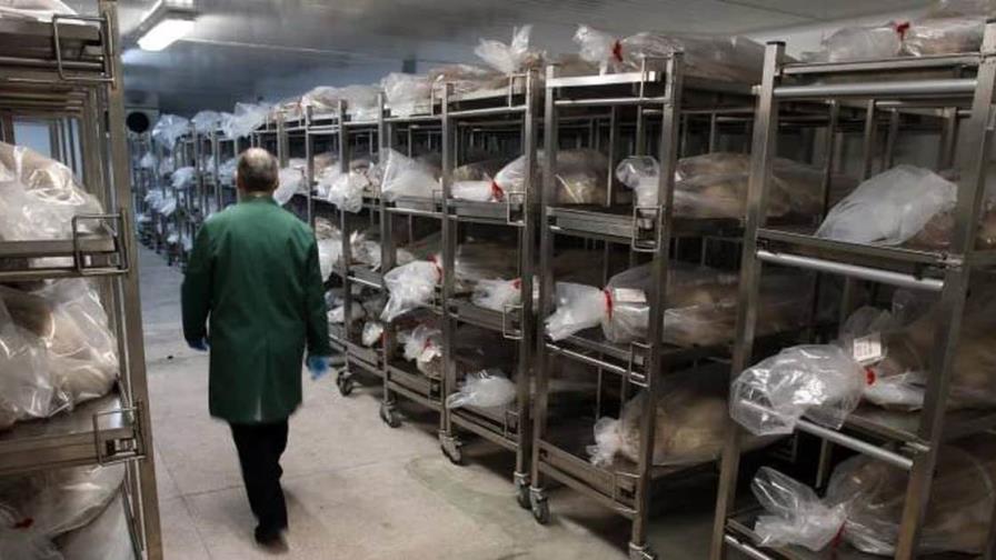 Piden cárcel por tener 500 cadáveres hacinados en una universidad española