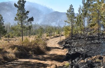 Se emitió orden de arresto contra agricultor por fuego en Valle Nuevo