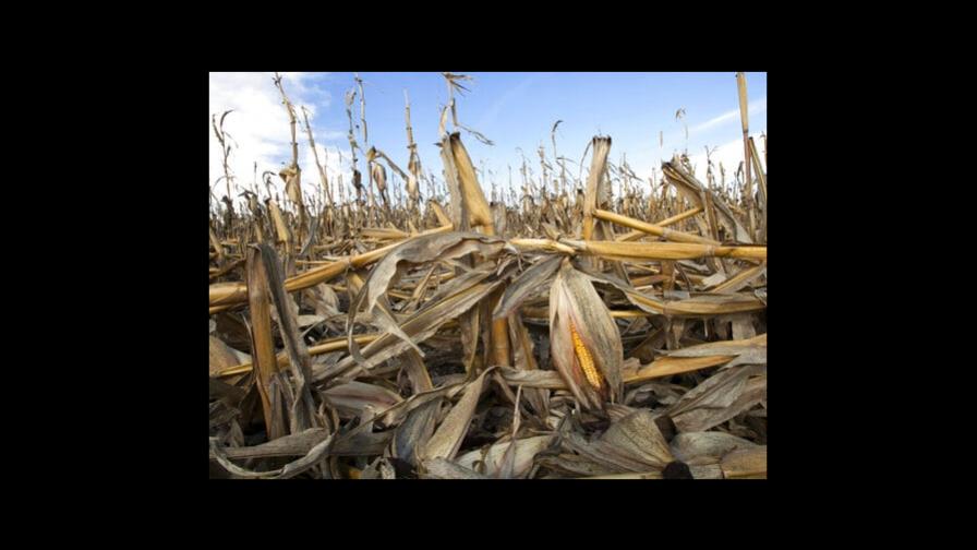 Producción de comida podría agravar calentamiento para 2100