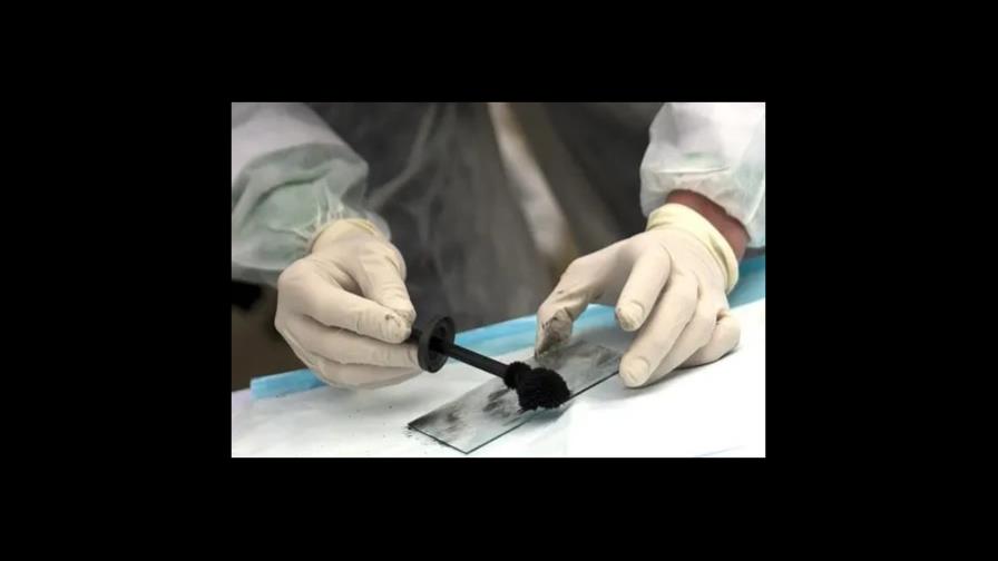 En Haití la medicina forense deja de existir