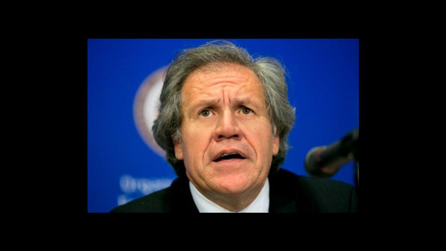 Secretario general de la OEA hizo 34 viajes con empleada que era su pareja Secretario general de la OEA hizo 34 viajes con empleada que era su pareja