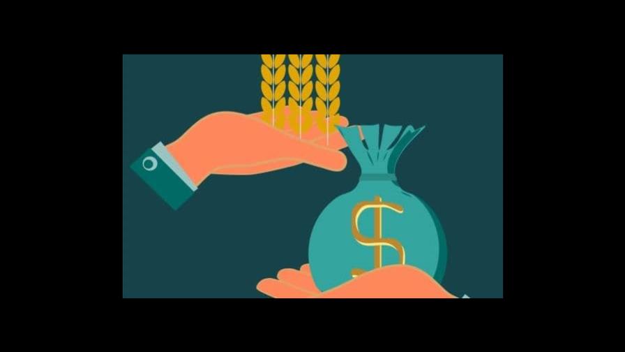 Menos pan para hoy, más pan para mañana