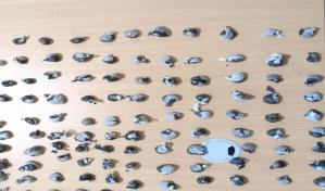 Desmantelan seis puntos de drogas en Andrés Boca Chica