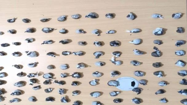 Desmantelan seis puntos de drogas en Andrés Boca Chica