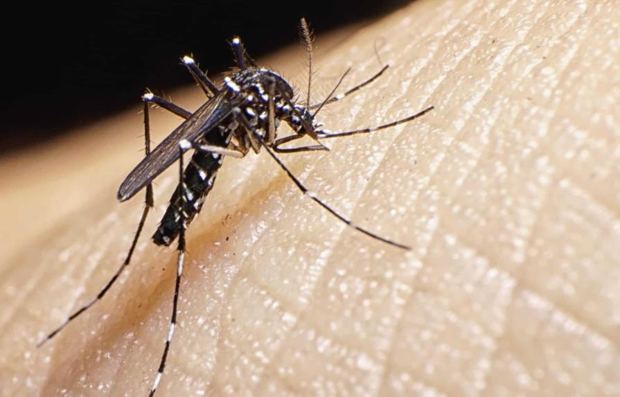 Brote de chikungunya de 2014 afectó a más de 500 mil dominicanos