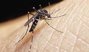 La OMS advierte del impacto en la salud mental de las Enfermedades Tropicales Desatendidas