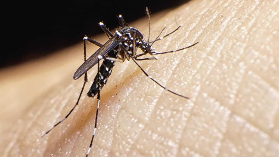Salud Pública intensifica acciones contra el dengue y llama a mantener medidas preventivas