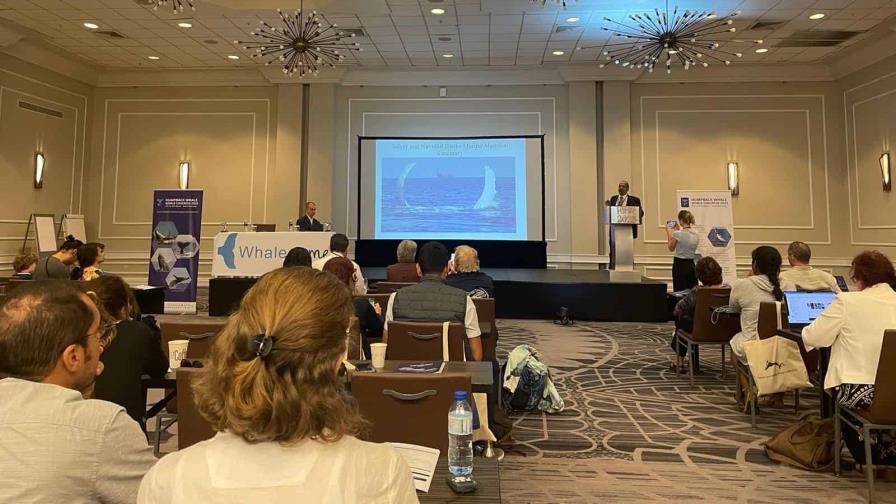 Un congreso mundial de ballenas en honor a la primera bióloga marina de República Dominicana Un congreso mundial de ballenas en honor a la primera bióloga marina de República Dominicana