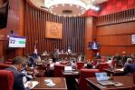 Juicio político a Pleno de la Cámara de Cuentas genera debates entre senadores Juicio político a Pleno de la Cámara de Cuentas genera debates entre senadores