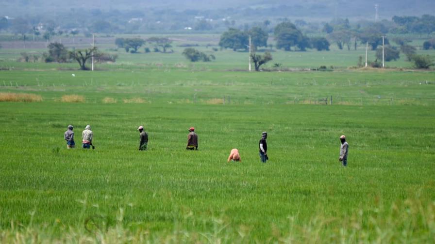 Congresista de EEUU sobre DR-Cafta: habrá diferencias, pero relación con RD es de amistad