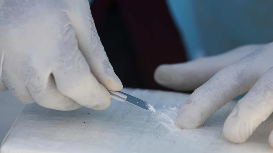 Decomisan 339 kilos de cocaína y arrestan a 35 personas en Florida Decomisan 339 kilos de cocaína y arrestan a 35 personas en Florida