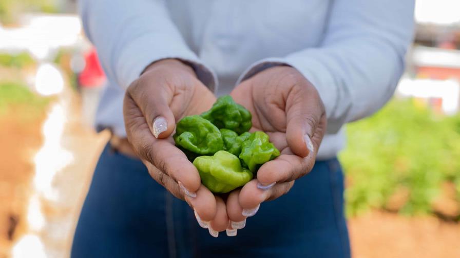 La agricultura familiar garantiza la seguridad alimentaria en las comunidades