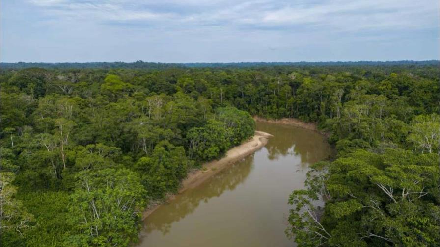 El BID llama a una acción global coordinada para proteger la Amazonía