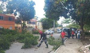 Alcalde de Santo Domingo Este supervisa jornada de limpieza en Villa Liberación