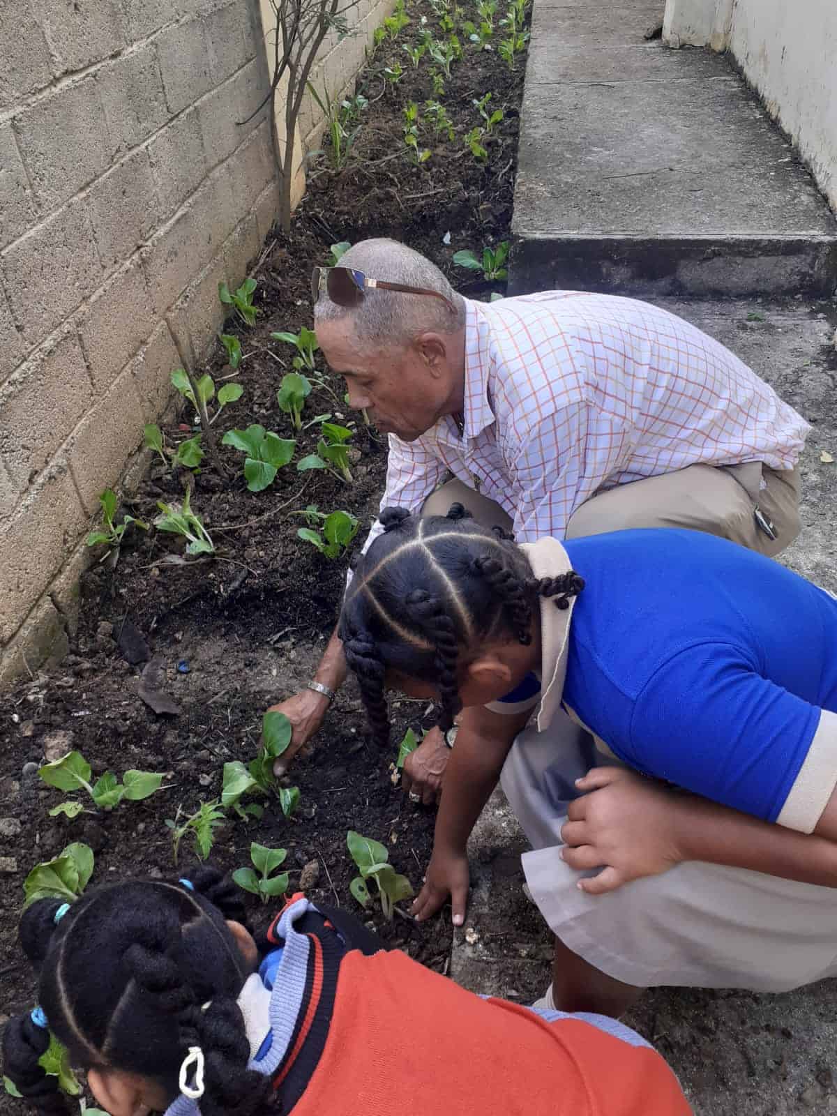 Los profesores explican a los estudiantes la importancia de cultivar la tierra.