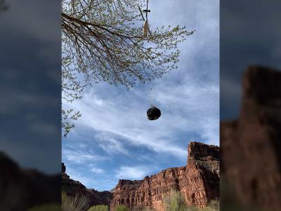 Turistas abandonan zona de cascadas por lluvias en Arizona