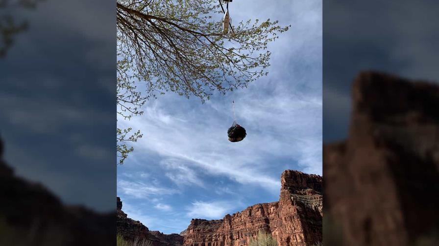 Turistas abandonan zona de cascadas por inundaciones en una tribu de Arizona Turistas abandonan zona de cascadas por inundaciones en una tribu de Arizona
