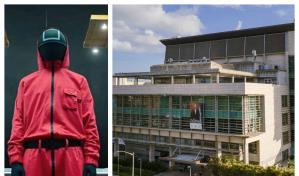 El juego del Calamar, datos de la serie que comparte nombre de animal con la Operación Calamar