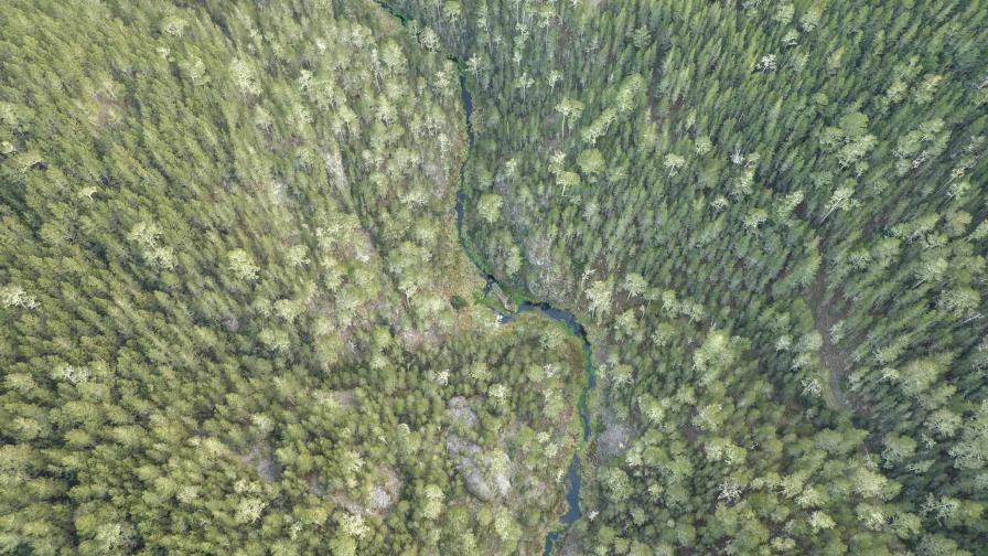 Medio Ambiente elaborará y actualizará planes de manejo de áreas protegidas