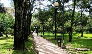 Científicos urgen a cuidar y aumentar espacios verdes para la salud humana