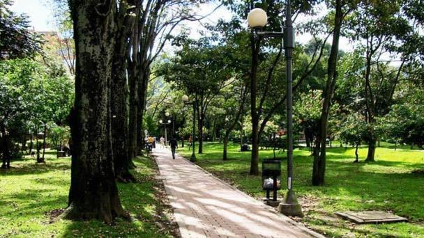Científicos urgen a cuidar y aumentar espacios verdes para la salud humana