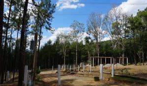 Apresan hombre acusado de invasión en la reserva forestal Loma Novillero