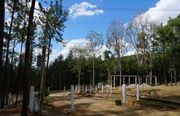 Apresan hombre acusado de invasión en la reserva forestal Loma Novillero