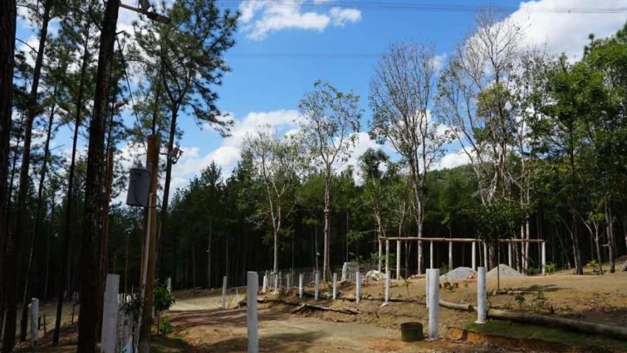 Apresan hombre acusado de invasión en la reserva forestal Loma Novillero