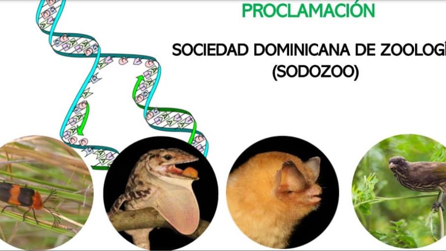 Científicos dominicanos crean la Asociación Académica de Zoología Científicos dominicanos crean la Asociación Académica de Zoología