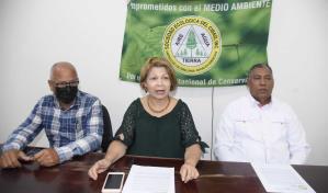 Alertan sobre consecuencias de corte y tala indiscriminada de árboles