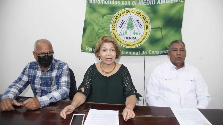 Alertan sobre consecuencias de corte y tala indiscriminada de árboles Alertan sobre consecuencias de corte y tala indiscriminada de árboles