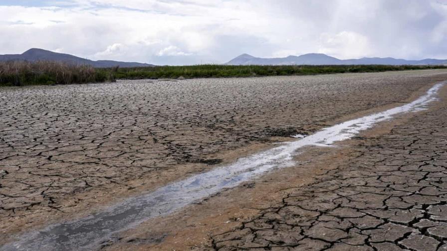 California pone fin a algunas restricciones de agua impuestas por la sequía