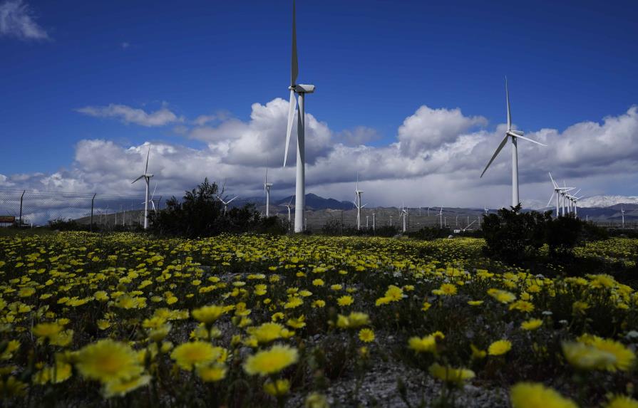 Prevén repunte y crecimiento veloz de energía eólica a nivel mundial