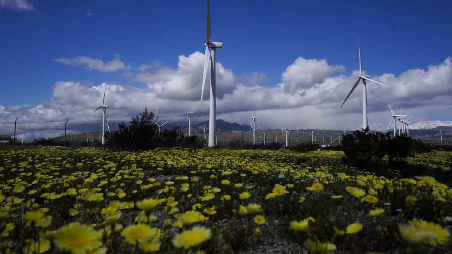 Prevén repunte y crecimiento veloz de energía eólica a nivel mundial