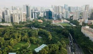 Estudio internacional evalúa por primera vez carbono en zonas verdes urbanas