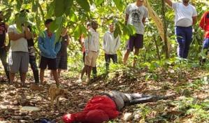Joven muere tras picaduras de abejas en San Francisco de Macorís
