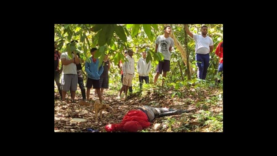 Joven muere tras picaduras de abejas en San Francisco de Macorís