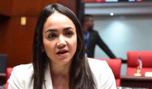 Faride Raful sobre caso Gory Moya y M&eacute;rido Torres: "Todo el que est&eacute; vinculado tiene que ser investigado"