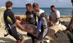 Joven cubano salva su vida tras ser atacado por un tiburón en una playa