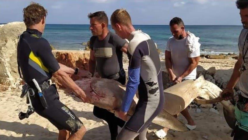 Joven cubano salva su vida tras ser atacado por un tiburón en una playa