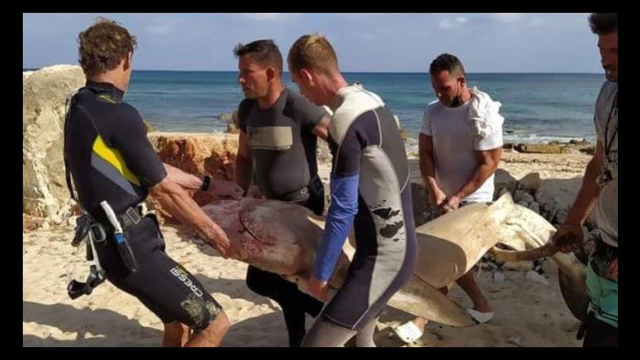 Joven cubano salva su vida tras ser atacado por un tiburón en una playa Joven cubano salva su vida tras ser atacado por un tiburón en una playa