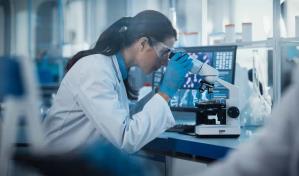 Hallan una proteína esencial para mantener función antitumoral de linfocitos