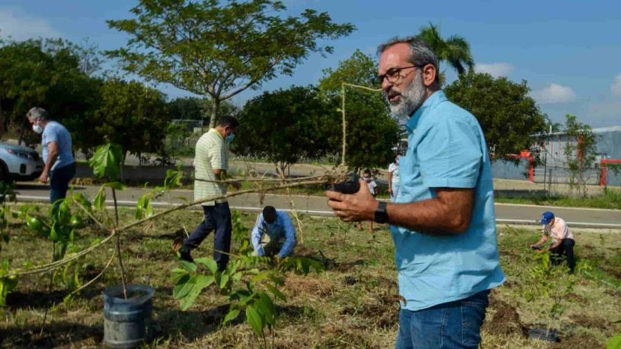 Presentarán el primer bosque dominicano en Metaworld Congress en Madrid