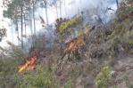 Autoridades reportan 12 incendios forestales activos en la República Dominicana