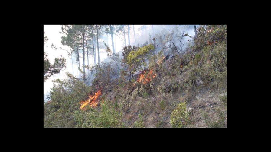 Autoridades reportan 12 incendios forestales activos en la República Dominicana