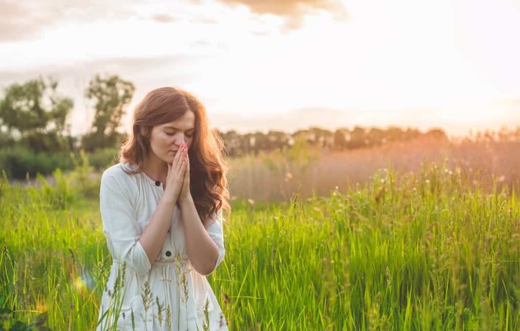 [object HTMLTextAreaElement]