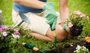 Algunas ideas para decorar el jardín o balcón