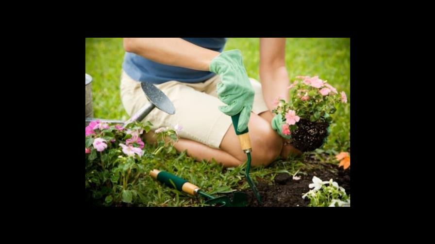 Algunas ideas para decorar el jardín o balcón