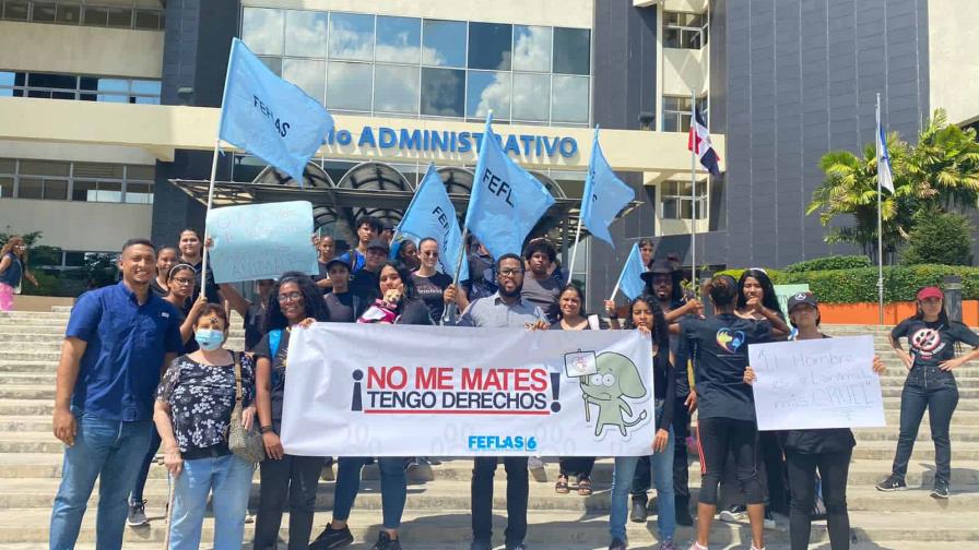 Condenan envenenamiento de perros en la UASD y responsabilizan a las autoridades universitarias